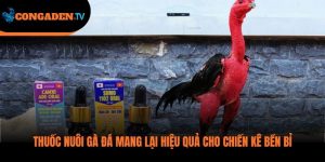 thuốc nuôi gà đá
