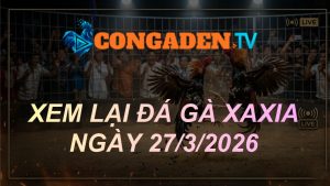 XEM LẠI ĐÁ GÀ XAXIA NGÀY 27/3/26