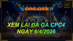 XEM LẠI ĐÁ GÀ CPC4 NGÀY 6/4/26