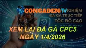 XEM LẠI ĐÁ GÀ CPC5 NGÀY 1/4/26