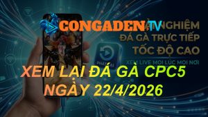 XEM LẠI ĐÁ GÀ CPC5 NGÀY 22/4/26
