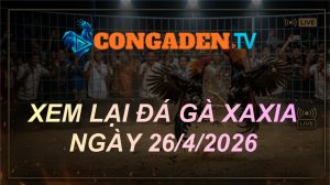 XEM LẠI XÀ XÍA ngày 26/04/2026