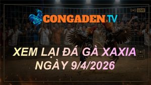 XEM LẠI ĐÁ GÀ XAXIA NGÀY 9/4/26
